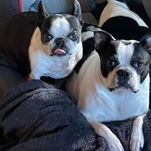 Meet your Posher, Colleen